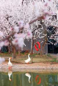 地鐵直達的免費公園有多絕！！！