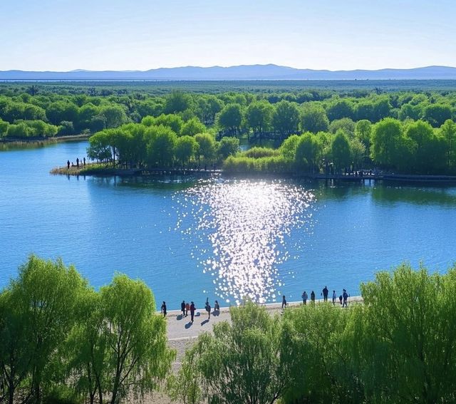 沙湖景區