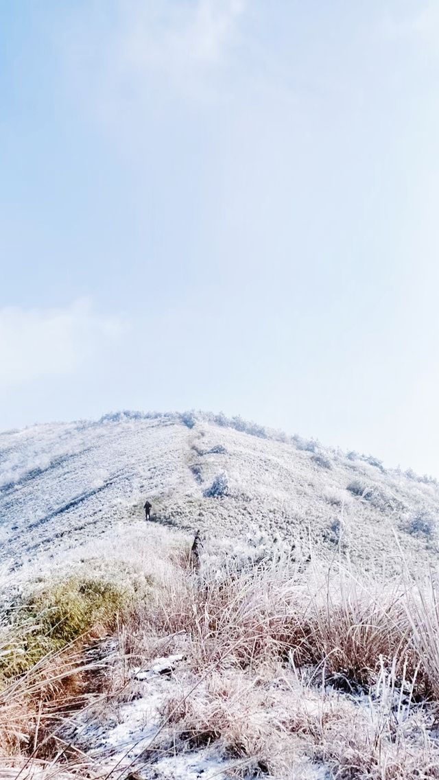 我肯定這是我最滿意的一次旅行