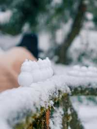 誰懂得！南方孩子看見雪的快樂！