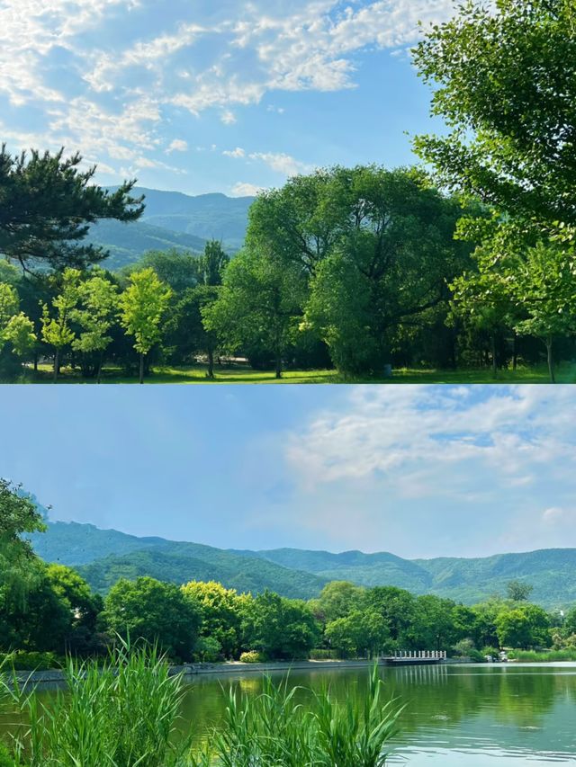 口袋公園"：中國式現代化的詩意角落