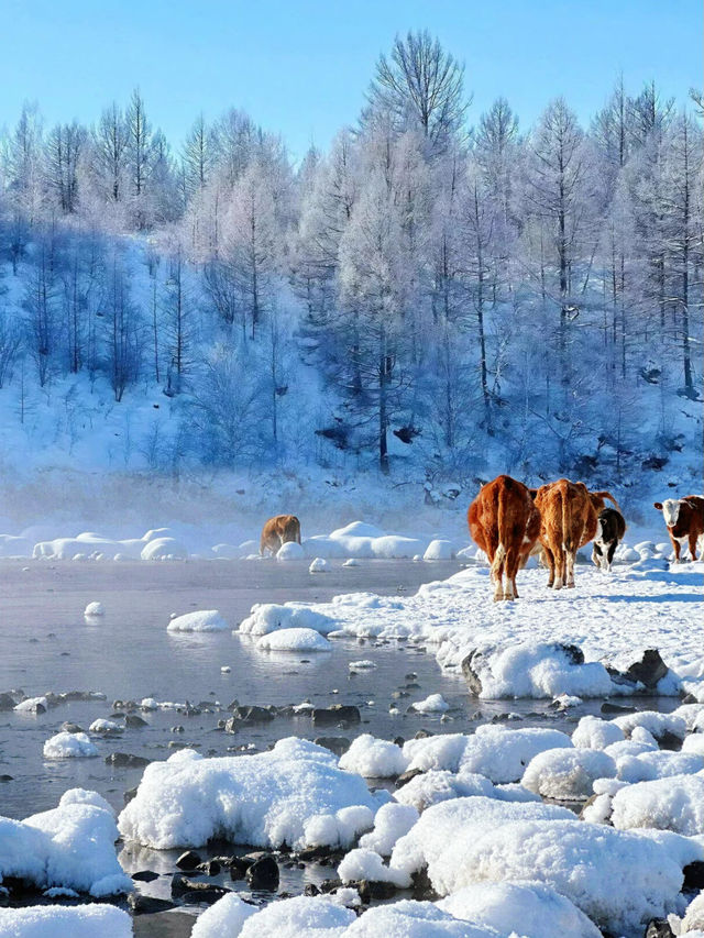 冬日秘境阿爾山，歐式小鎮的冰雪奇緣
