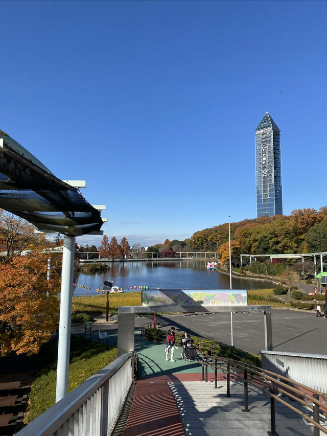 名古屋動物園的冬日暖陽