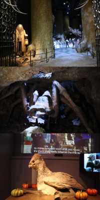 Must-Visit for Harry Potter Fans: UK Harry Potter Studio Tour Guide