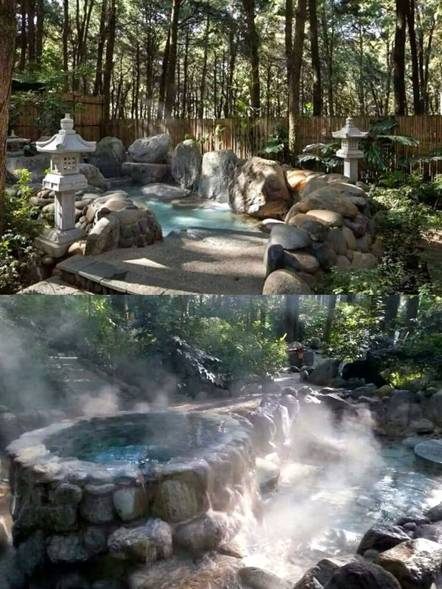 誤入森林仙境 | 金方森林溫泉半山酒店