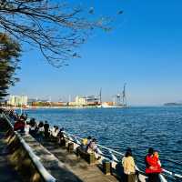 我來深圳海景公園啦！