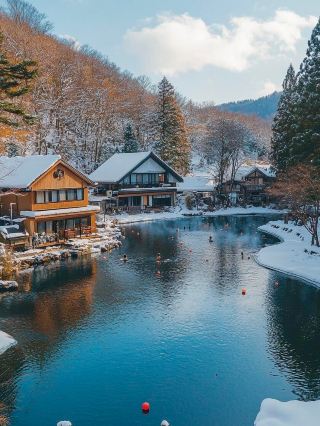 No wonder my friends wanted to go to Tokyo in winter. It's so beautiful here!