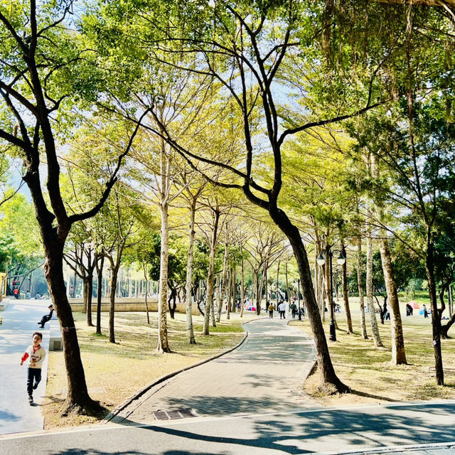 來深圳中心公園逛逛啦