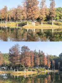 水墨園變成了「水鏡園」，景色太美啦!