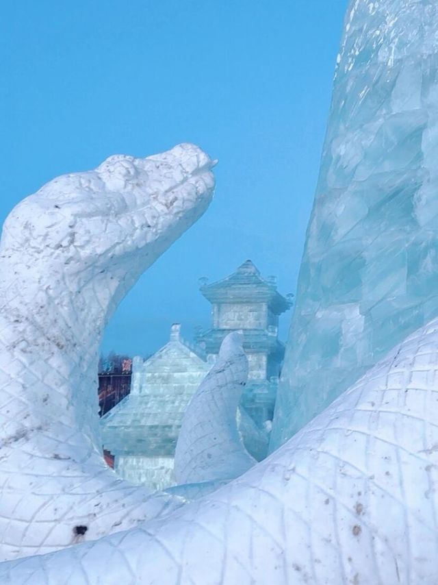 走進冰雪世界，我與冬天的親密接觸！