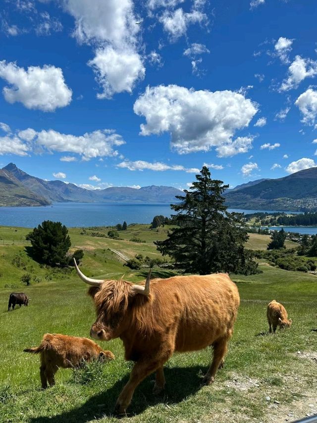 Lake Tekapo in New Zealand is so Charming✨🍁