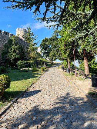 塞爾維亞等多國12日遊詳盡無遺的旅行指南