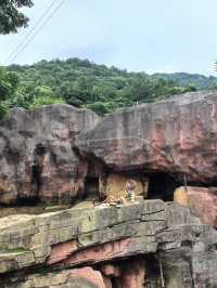 無錫動物園春節期間遛娃好去處