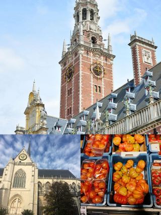 Two Days in Leuven: A City of History and Gastronomy