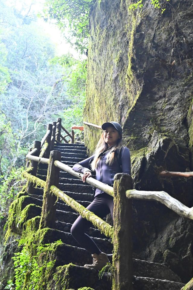 哀牢山