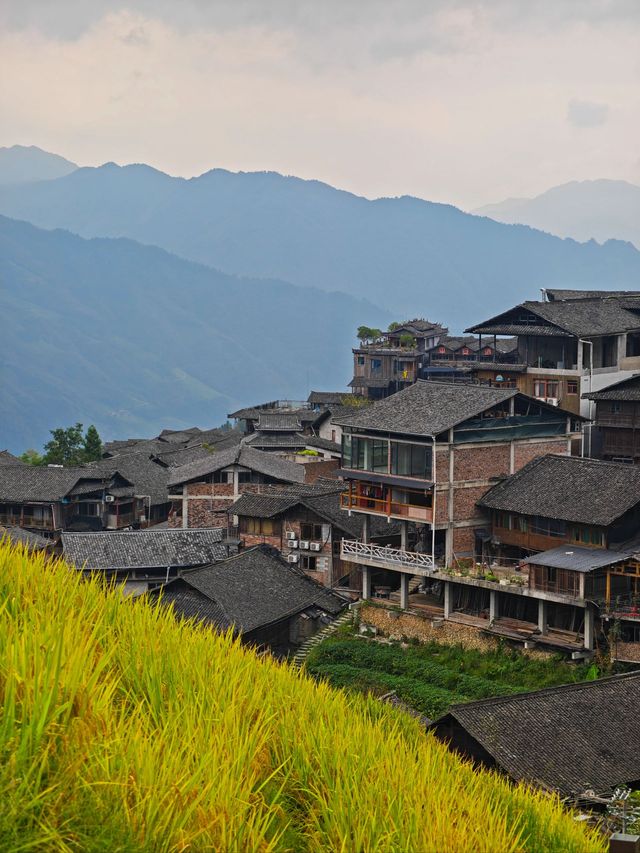 龍脊梯田-三江老友記超全旅遊攻略別錯過
