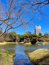 東京行程｜小石川後樂園與千鳥淵公園一日遊