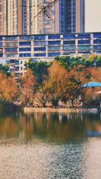 《秀峰公園：益陽的璀璨明珠》