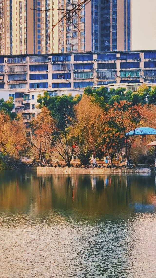 《秀峰公園：益陽的璀璨明珠》
