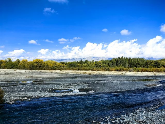 新疆秘境，河谷林景區，博爾塔拉河畔的綠野仙蹤