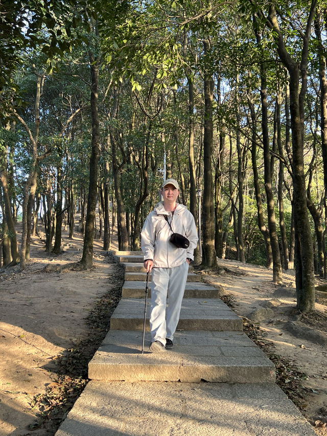 【救命！深圳呢座山治好咗我嘅一周焦慮症】