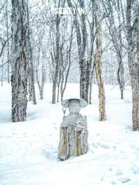 ❄️為什麼2025年雪季還要去小樽？