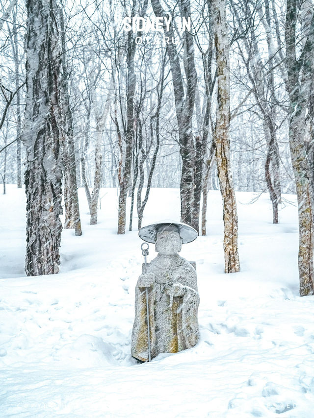 ❄️為什麼2025年雪季還要去小樽？