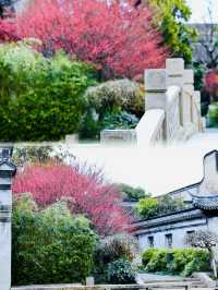 梅花洲/對江南古鎮的第一印象