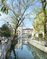 黃石大冶沼山村的春天