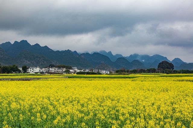 春天，又見萬峰林