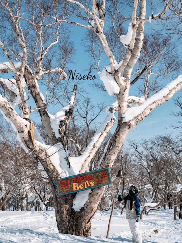 Niseko Ski Mount Yotei is absolutely stunning 🥰