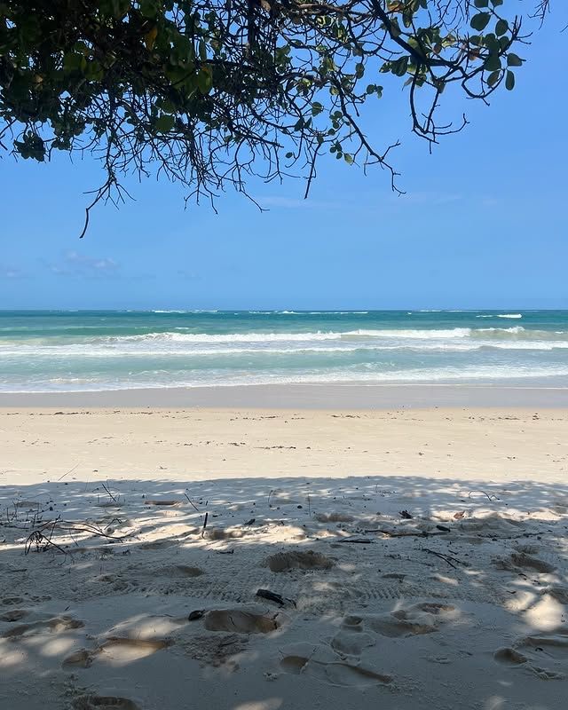 肯亞 蒙巴薩海灘：熱帶魅力的海島天堂 