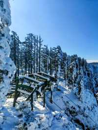 距離成都3小時的冰雪樂園，瓦屋山旅行攻略！