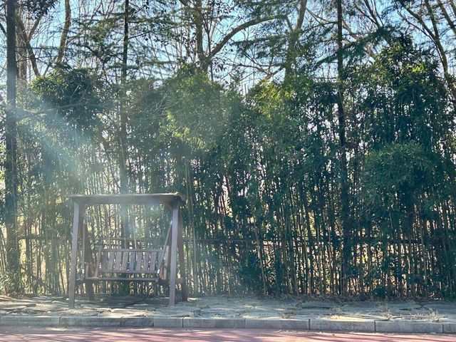 微山湖紅荷濕地公園