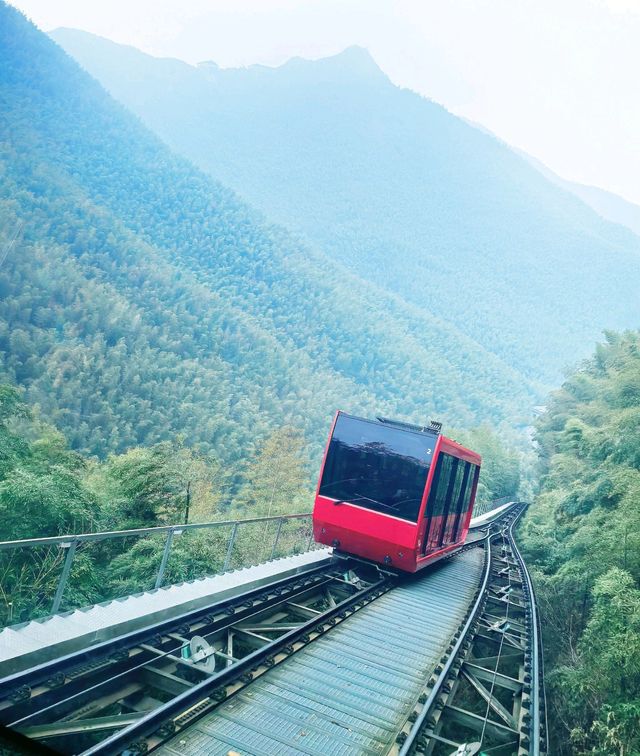 避坑指南：南山竹海門票交通防蚊全攻略，錯過會哭