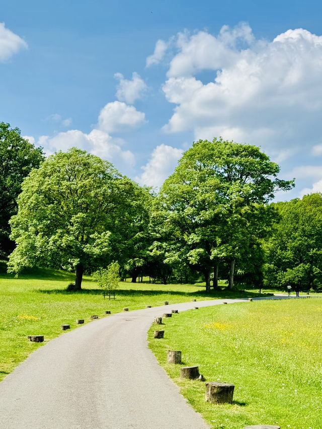 Treasure Park in London,