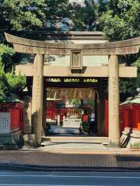 福岡市區必遊：一日深度探索行程