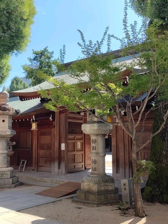 福岡市區必遊：一日深度探索行程