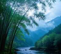 江南水鄉，詩畫浙江。