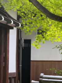 6天深度遊日本 超實用攻略來啦