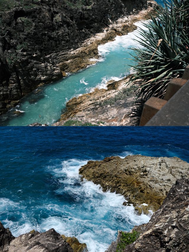 邂逅北斯特拉德布魯克島，解鎖自然饋贈