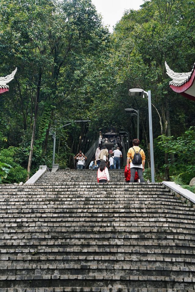 成都免費又好玩的郊遊路線，建議直接收藏