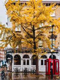 London, UK Taking advantage of autumn 🍂 