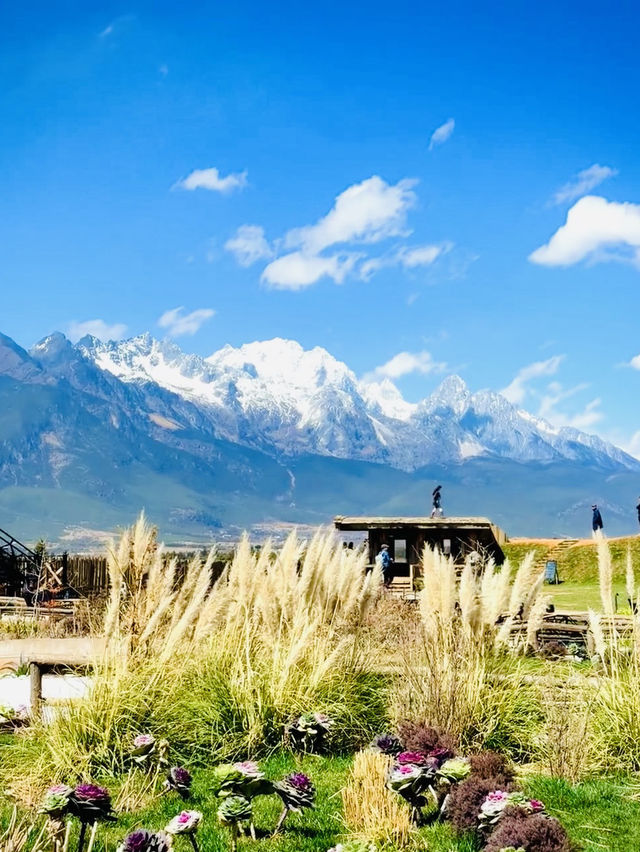 Coffee plantation in Lijiang 