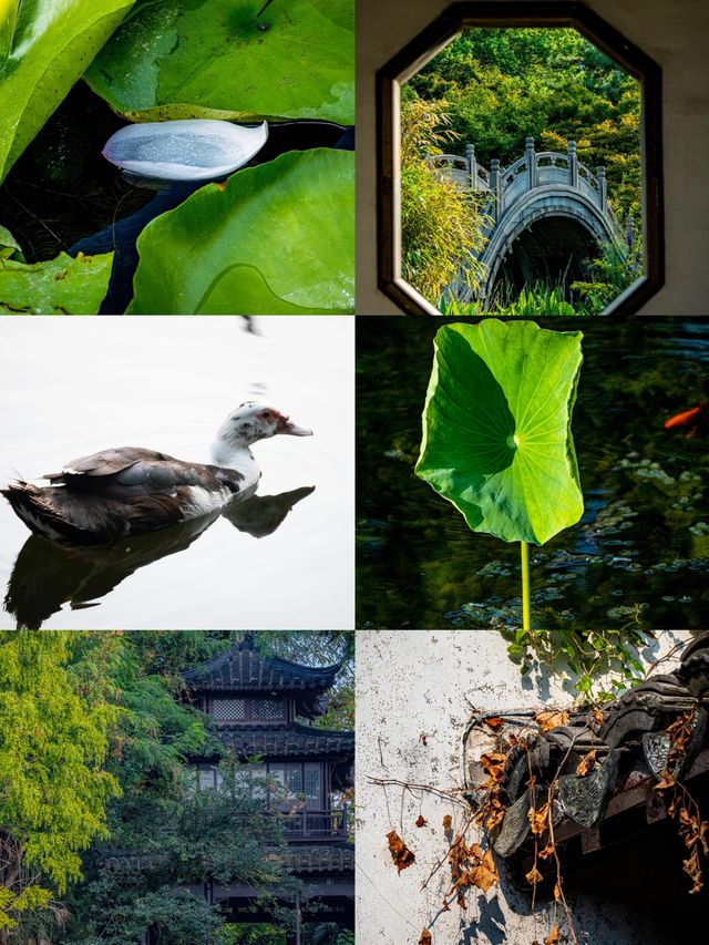 來太倉 瞻仰先賢 讚嘆人傑地靈太倉