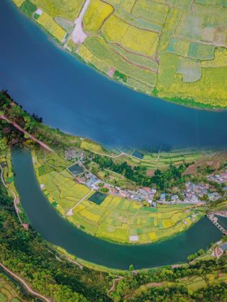 Deyang's Ultimate Guide to Rape Flower Season: Escape the Crowds at These Hidden Gems