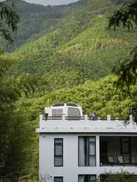 莫干山民宿｜竹林深處的北歐工業美學秘境