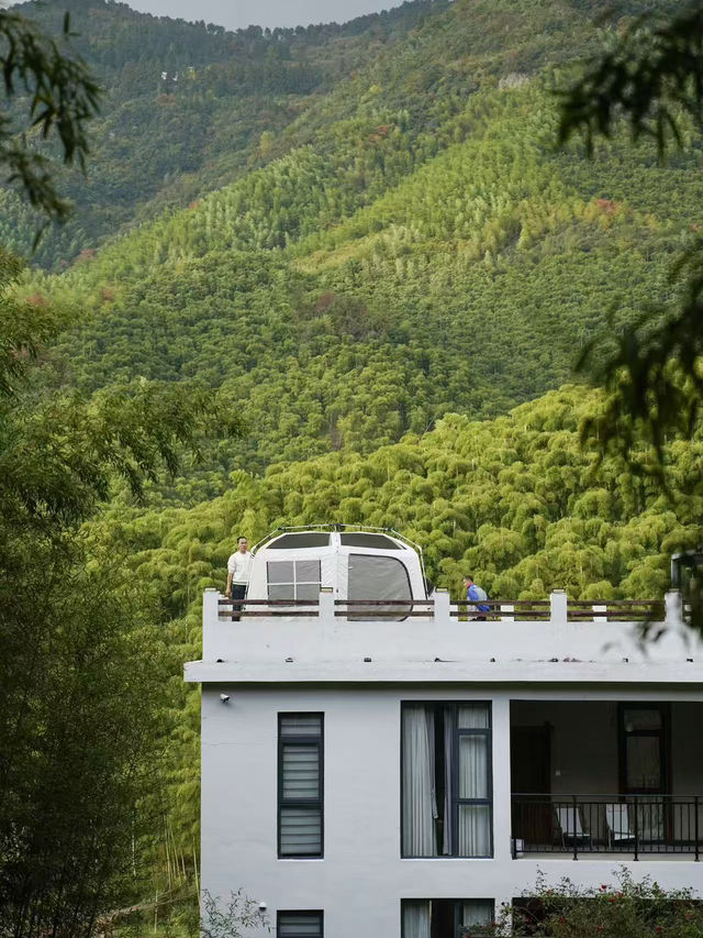 莫干山民宿｜竹林深處的北歐工業美學秘境