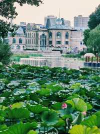 人少景美的朝陽公園打卡攻略！