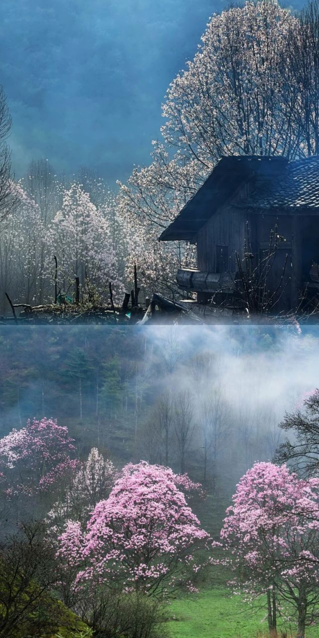 綿陽江油的藏王寨